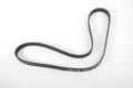 Alfa Romeo Grande Punto Auxiliary Belt. Part Number 55232450