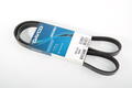 Alfa Romeo  Auxiliary Belt. Part Number 55252302