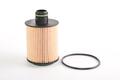 Alfa Romeo Panda 12- Oil Filter. Part Number 71770689